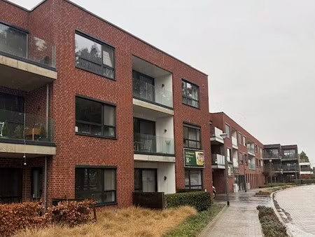 appartement te huur in meeuwen met 1 slaapkamer