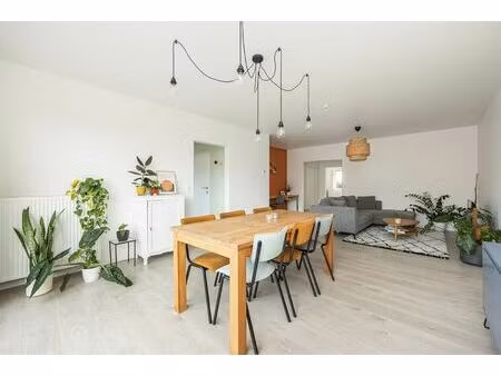 appartement te huur in merksem met 2 slaapkamers