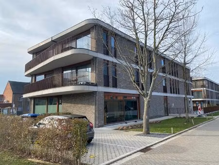 appartement te huur in willebroek met 2 slaapkamers