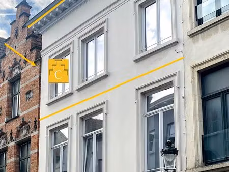 knap dakappartement in 19e eeuws herenhuis met zonnig terras en adembenemende uitzichten