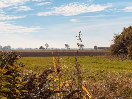 charmante gerenoveerde visserswoning met zongerichte tuin en open zicht op de polders ud83