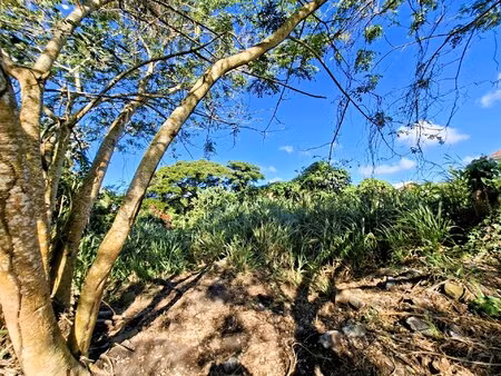 trois-ilets : anse mitan - terrain à bâtir