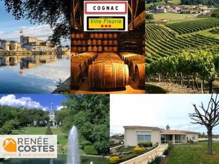 viager occupé - h76 ans - cognac (16100)