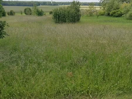 vente terrain 1 121 m²