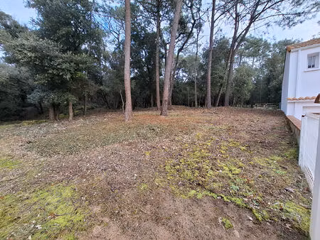 vente terrain  la tranche