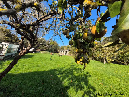 achat maison 3 pièces 90m² lancheres 80230