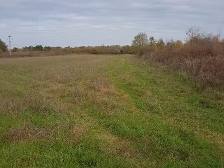 vente terrain 650 m² bonzac (33910)