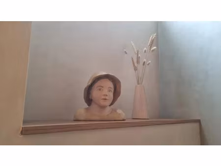 vente maison 9 pièces 189 m² à segré-en-anjou bleu (49500)  341 000 €