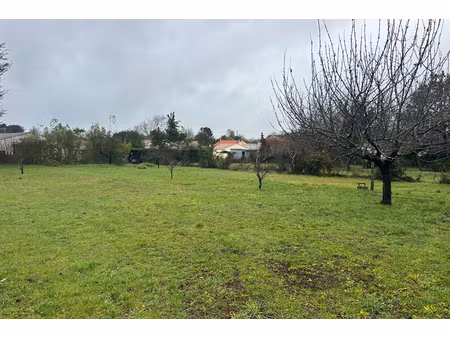 annonce terrain à vendre
