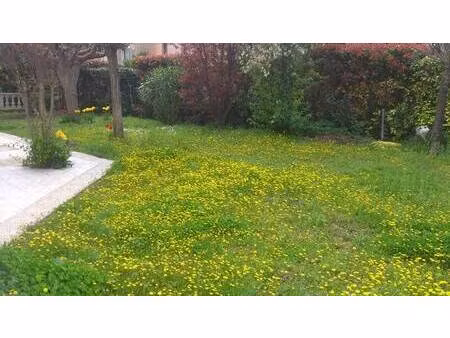 saint-gély-du-fesc (34980)