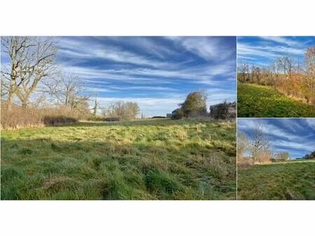 terrain à vendre de 3931 m² à sautour (vbd78530)