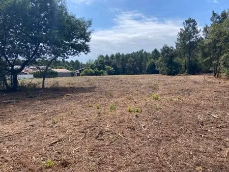 vente terrain 655 m² mimizan (40200)