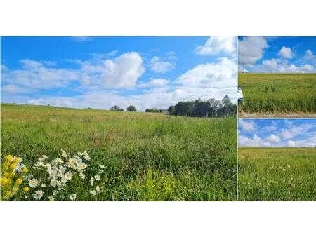 terrain à bâtir à vendre à bergueme 1098p tenneville (vwd16420)