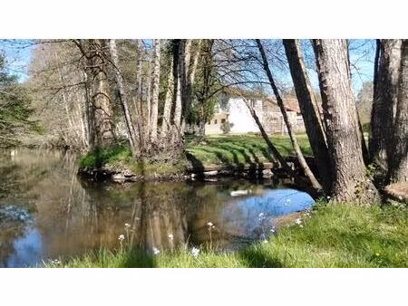 propriété lumineuse  endroit enchanteur  bordure de rivière  dépendances