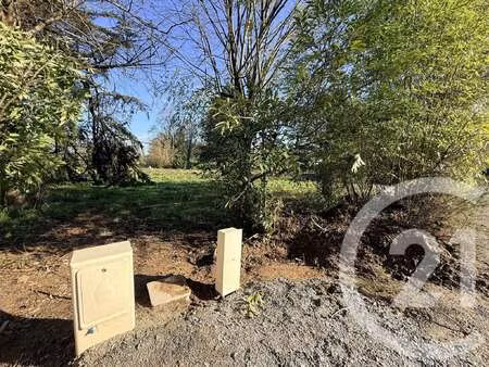 vente terrain à treillières (44119) : à vendre / 700m² treillières