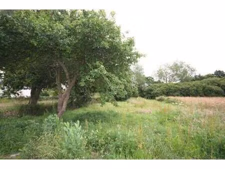 vente terrain à pleubian (22610) : à vendre / pleubian