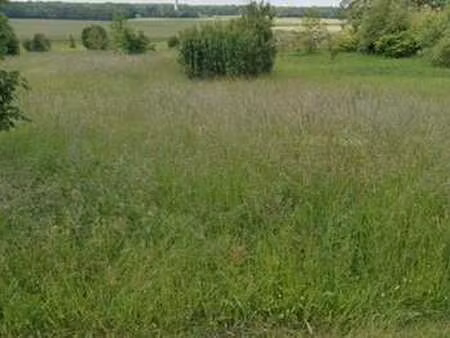 vente terrain à briou (41370) : à vendre / 1121m² briou