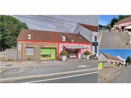 immeuble de rapport à vendre avec terrasse et jardin   hamme-mille (vbd78521)