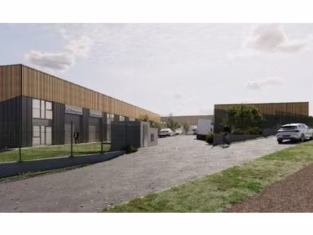 locaux activite chaponost