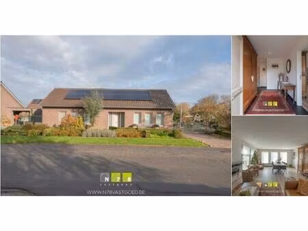 maison à vendre à meidoornweg 24 maaseik (rbv10586)