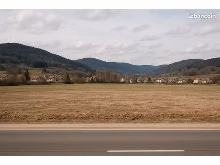 terrain 3 600 m² gerardmer