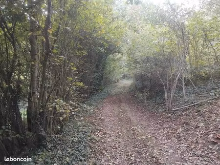 parcelle de bois
