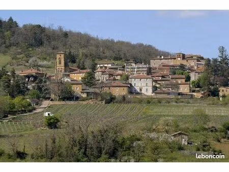 terrain agricole en nature de près avec eau
