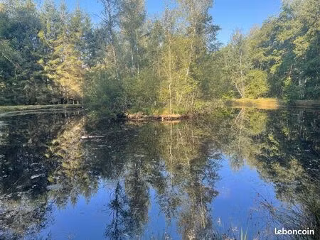 terrain avec étang à vendre