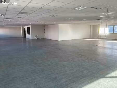 bureaux 705 m²