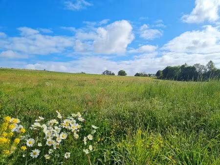 terrain à vendre à tenneville € 145.000 (lk5wv) - ard'immo | zimmo