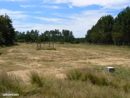 terrain loisir 35 mn de bordeaux 15 mn lacanau ocean