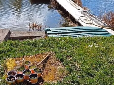 vends chalet au bord de l'étang