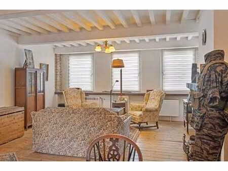 prachtige statige woning bestaande uit 3 woonentiteiten  ...