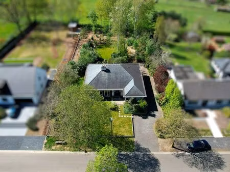 maison à vendre à tessenderlo € 545.000 (lk4i3) - engel & völkers noord-limburg | zimmo