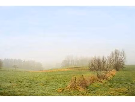 maison de plain-pied magnifiquement située avec atelier !