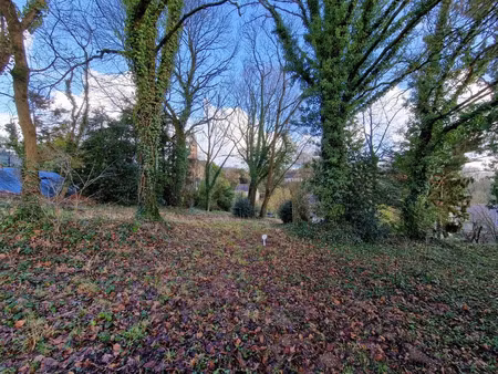 vente terrain à la chapelle-caro (56460) : à vendre / 681m² la chapelle-caro