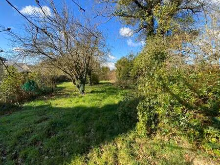 vente terrain à plancoët (22130) : à vendre / 513m² plancoët