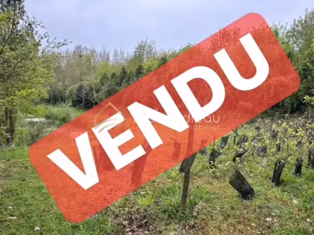 vente terrain 12000 m² à talmont-saint-hilaire (85440)  13 900 €