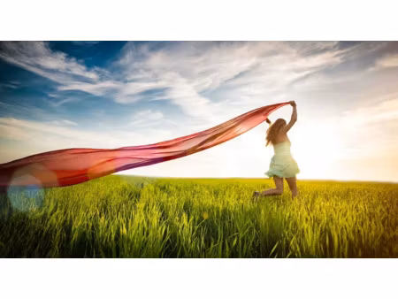 vente terrain 644 m² à volnay (72440)  33 000 €