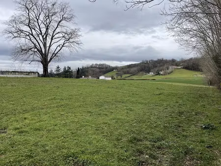 vente terrain 1186 m² à armendarits (64640)  65 000 €