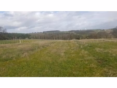 vente terrain 590 m² à croignon (33750)  70 000 €