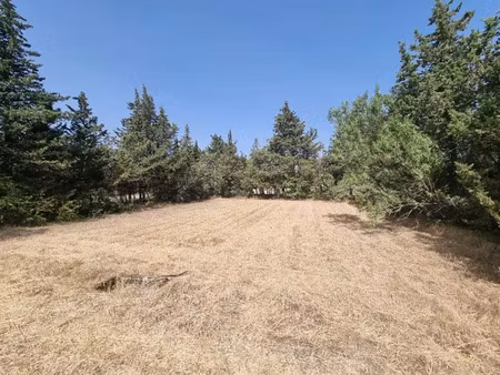 vente terrain 505 m² à grillon (84600)  79 900 €