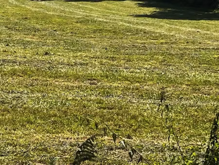 vente terrain 303 m² à saint-nazaire-sur-charente (17780)  55 550 €