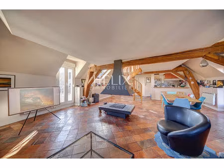 appartement duplex avec mezzanine  cheminée centrale et rooftop de plus de 20 m2 avec box