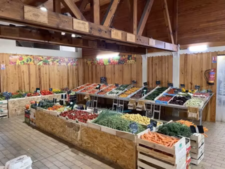 biscarrosse plage – ensemble immobilier exceptionnel : habitation + murs commerciaux + fon