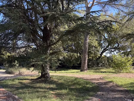 vente terrain 950 m² à alleins (13980)  235 000 €