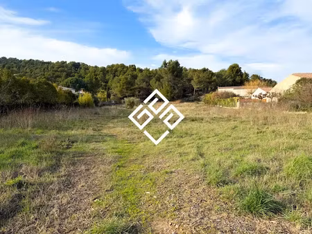vente terrain à bize-minervois (11120)  250 000 €