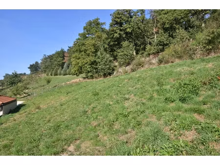 vente terrain 655 m² à pomeys (69590)  94 000 €