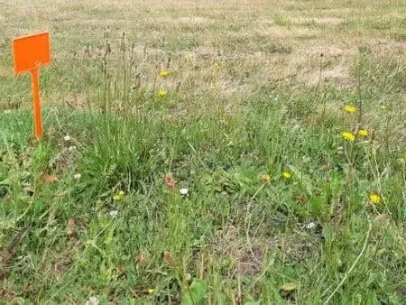 vente terrain 655 m² à pornic (44210)  203 350 €