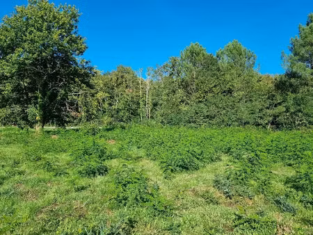 vente terrain 1070 m² à saint-aubin-de-médoc (33160)  297 000 €